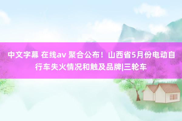 中文字幕 在线av 聚合公布！山西省5月份电动自行车失火情况和触及品牌|三轮车